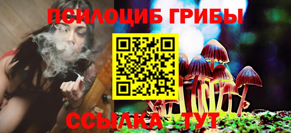 Псилоцибиновые грибы прущие грибы Калуга