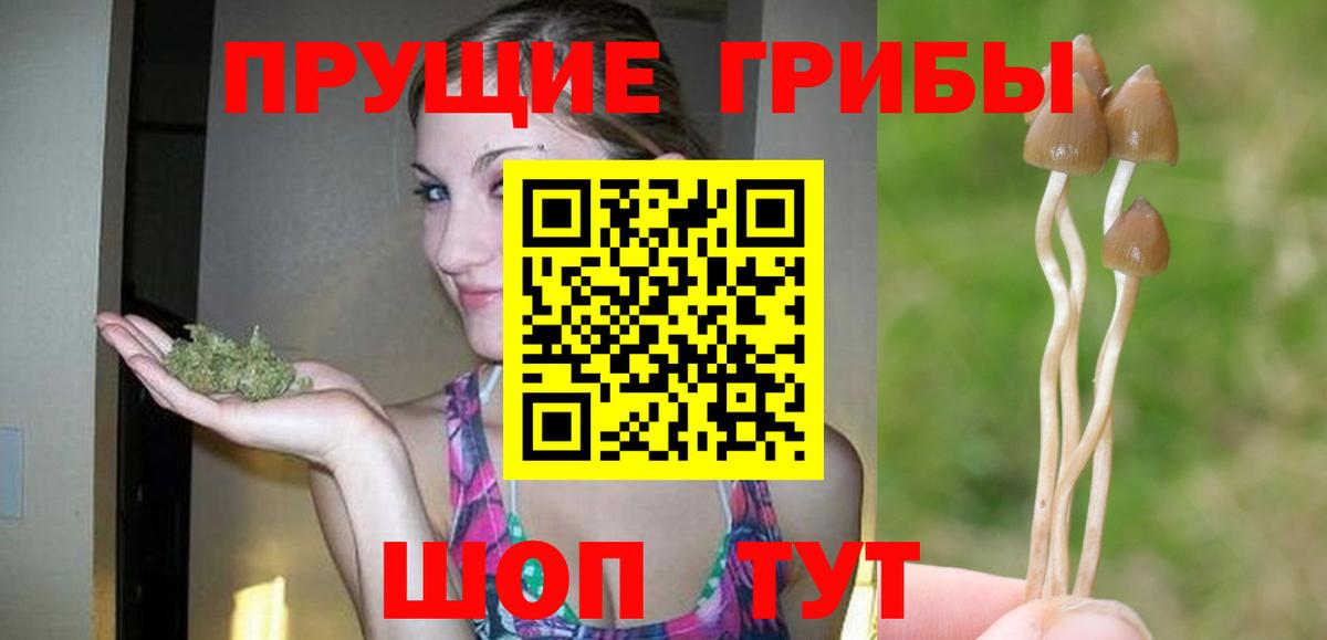 Псилоцибиновые грибы Psilocybine cubensis  наркота  Калуга  Вход с VPN  Псилоцибиновые грибы Cubensis 
