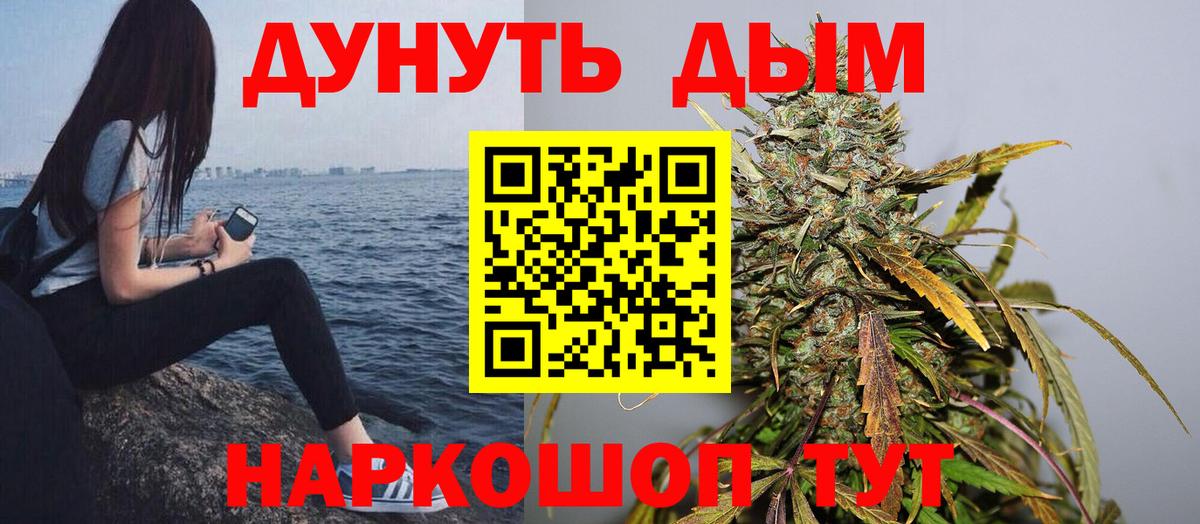 Каннабис план Калуга